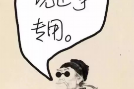 石家庄汽车催收员：职业解析与案例分析