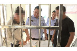 龙游清数公司怎么收费？全面解析收费模式与优势