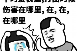 /img/538.png/img/538.png广东要账哪家好？揭秘高效要账服务的选择标准/img/538.png